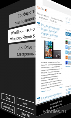SurfCube 3D Browser � ������� � ��������� �����������