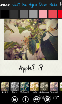 Apict         Polaroid
