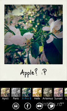 Apict         Polaroid