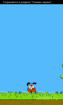 Duck Hunt � ������� �����, ������� �� ������������ ����