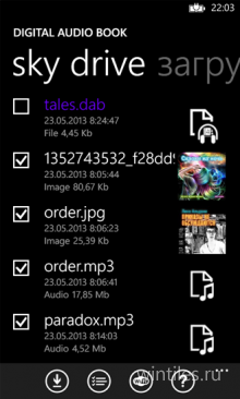 Digital Audio Book       