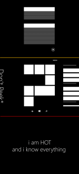     Windows Phone 8.1