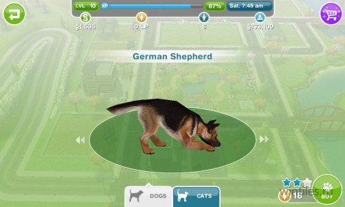 The Sims FreePlay � ������ ��������� ����� ��� Windows Phone 8