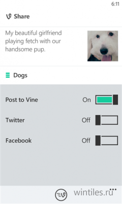 � �������� Windows Phone ����������� ����������� ������ Vine