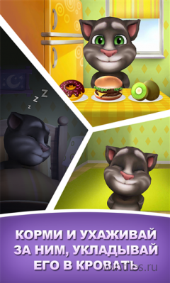    Windows Phone 8: Asphalt 8: Airborne  My Talking Tom