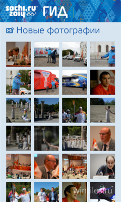   Windows Phone      2014