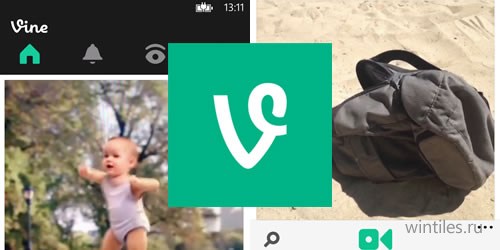    Vine