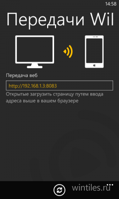 MoliPlayer Pro      