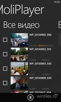 MoliPlayer Pro      