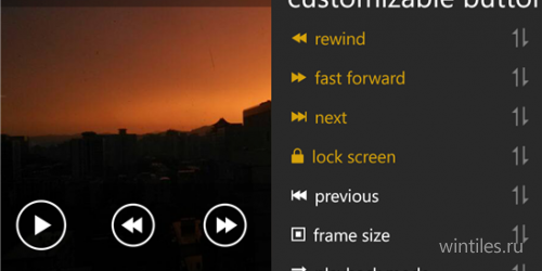  MoliPlayer Pro   