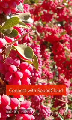 SoundClone � ������� � ��������� ������
