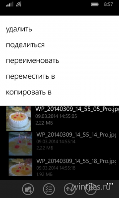 Microsoft     Windows Phone 8.1