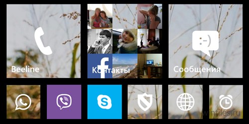 Microsoft     Windows Phone 8.1