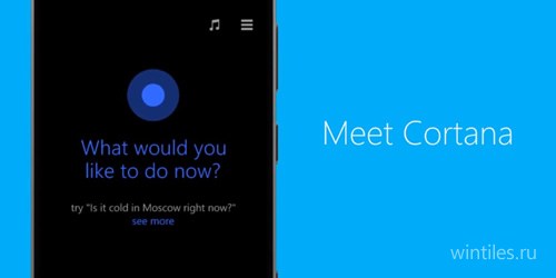    Microsoft:    Cortana