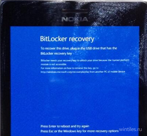 � ����������� �� Windows Phone 8.1 �������� ������ ��������