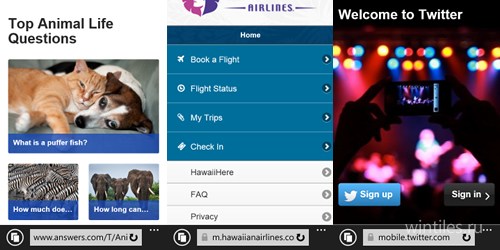 Internet Explorer      Windows Phone 8.1 Update