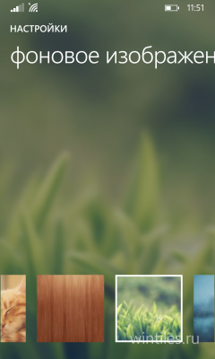 Wunderlist ���������� ������� ��� Windows Phone 8.1