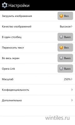 ����-������ Opera Mini ������������ � �������� Windows Phone